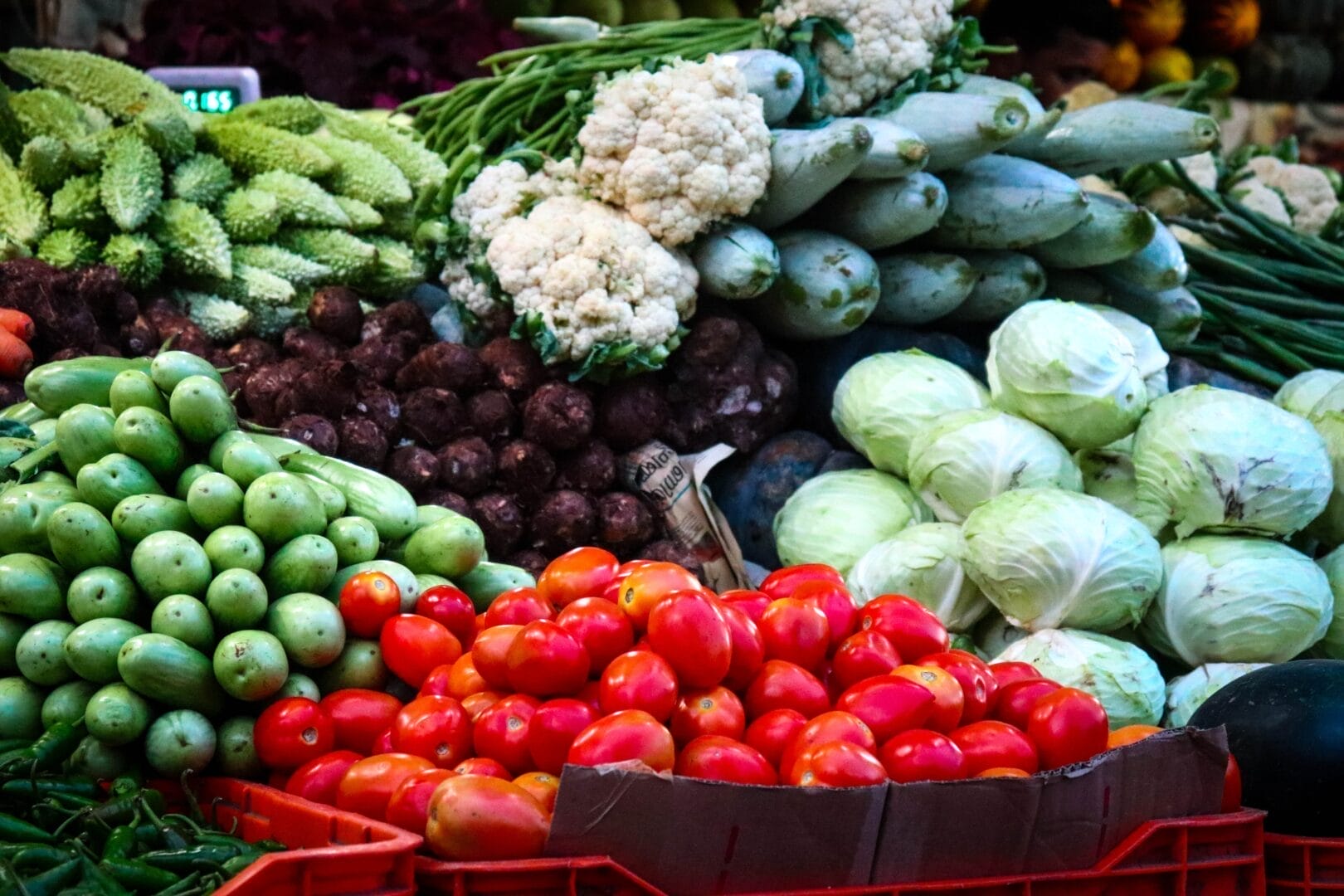 Nutrition food